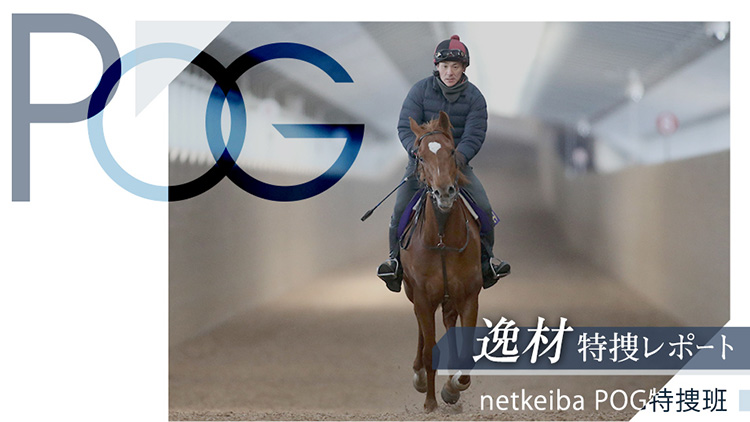 【POG厳選20頭】netkeiba編集部員&一瀬恵菜の最終結論 有力一口馬主クラブ7社の中から指名馬を選抜/天才!のPOG青本×netkeibaコラボ
