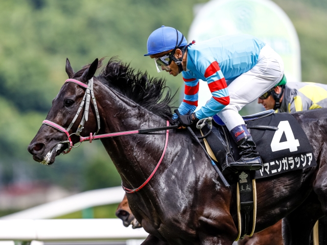 競馬写真⭐ヤマニンパラダイス（馬券） 功労馬 | ヤマニンパラダイス