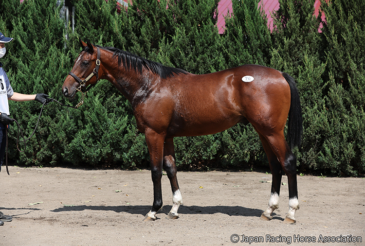 ダノックスが4億5000万円で落札したモシーンの2021(写真提供：日本競走馬協会)