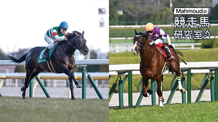 【天皇賞(春)予想】「ヘデントールvsサンライズアース」バチバチの持久戦で激走する馬とは──ミオスタチン遺伝子からみる距離適性診断