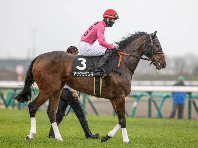 新潟ジャンプs出走馬 騎手確定 アサクサゲンキ 石神深一騎手 ゼノヴァース 森一馬騎手など14頭 競馬ニュース Netkeiba Com