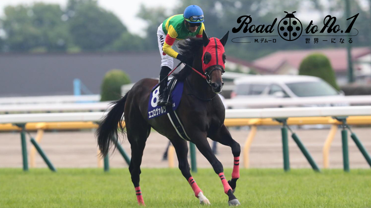 【安田記念回顧】「将雅の後ろに入ろうとしたけど…」── 勝敗を分けたレース中の“一瞬の判断”の難しさ