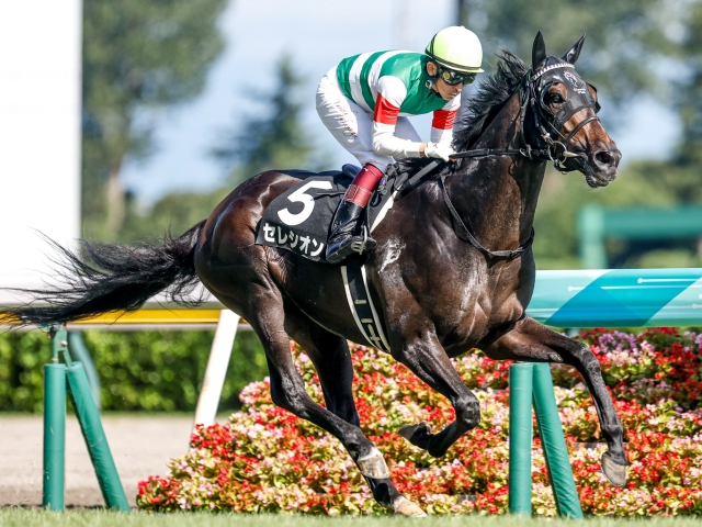【阿賀野川特別】(新潟) 断然人気の3歳馬セレシオンが2番手から抜け出して後続を完封