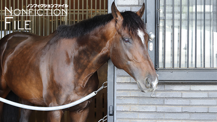 【ミッキーカプチーノ、再始動】JRA馬事公苑で“乗馬界の星”を目指す、未完の大器の今