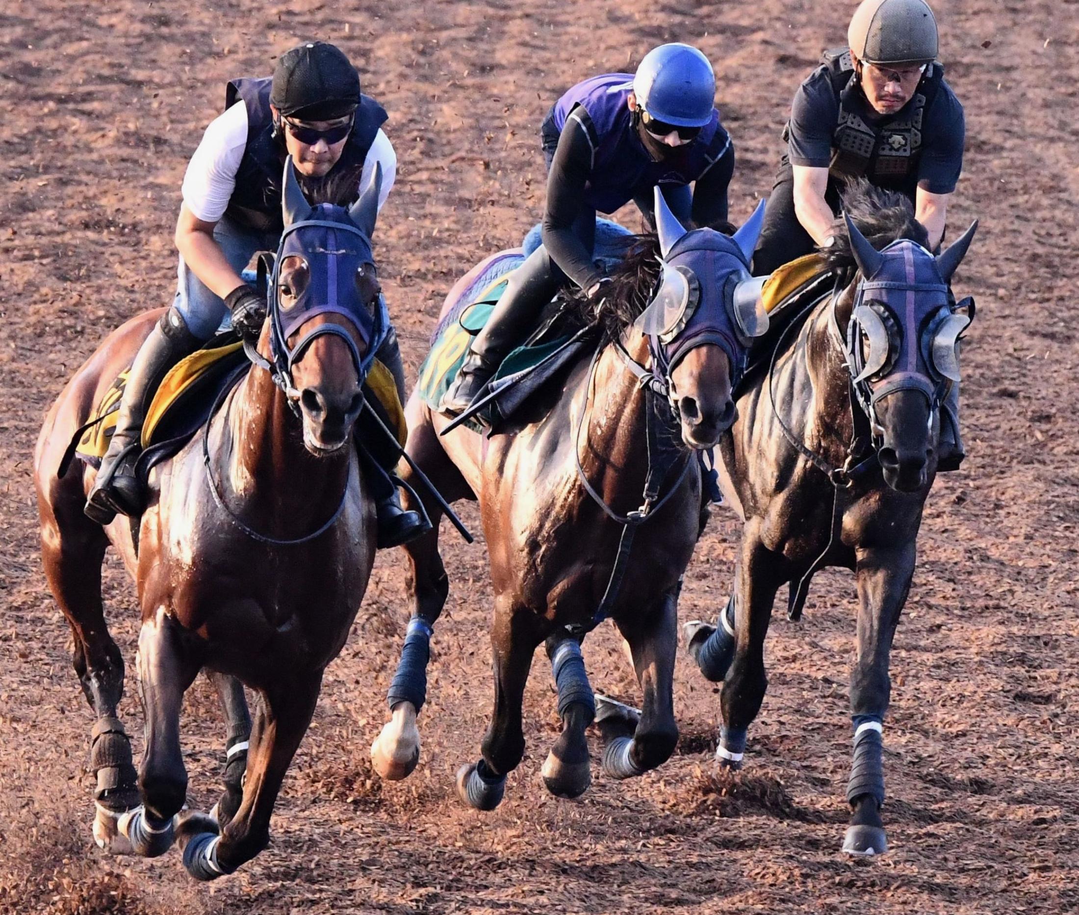 新潟２歳ｓ グラニット合格点の動き ３頭併せで堂々最先着 競馬ニュース Netkeiba Com