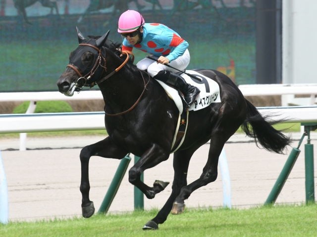 吉田豊 競馬記事一覧 | 競馬まとめ - netkeiba.com