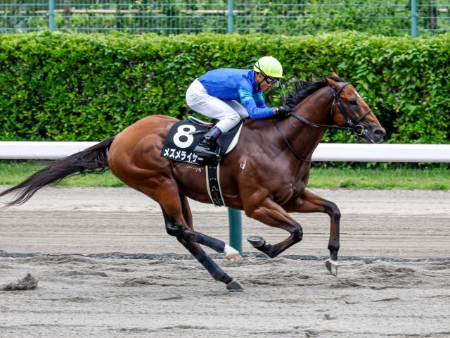 【岩室温泉特別】(新潟) 3歳馬メズメライザーが虎視眈々と先頭を見て最後は楽々勝利