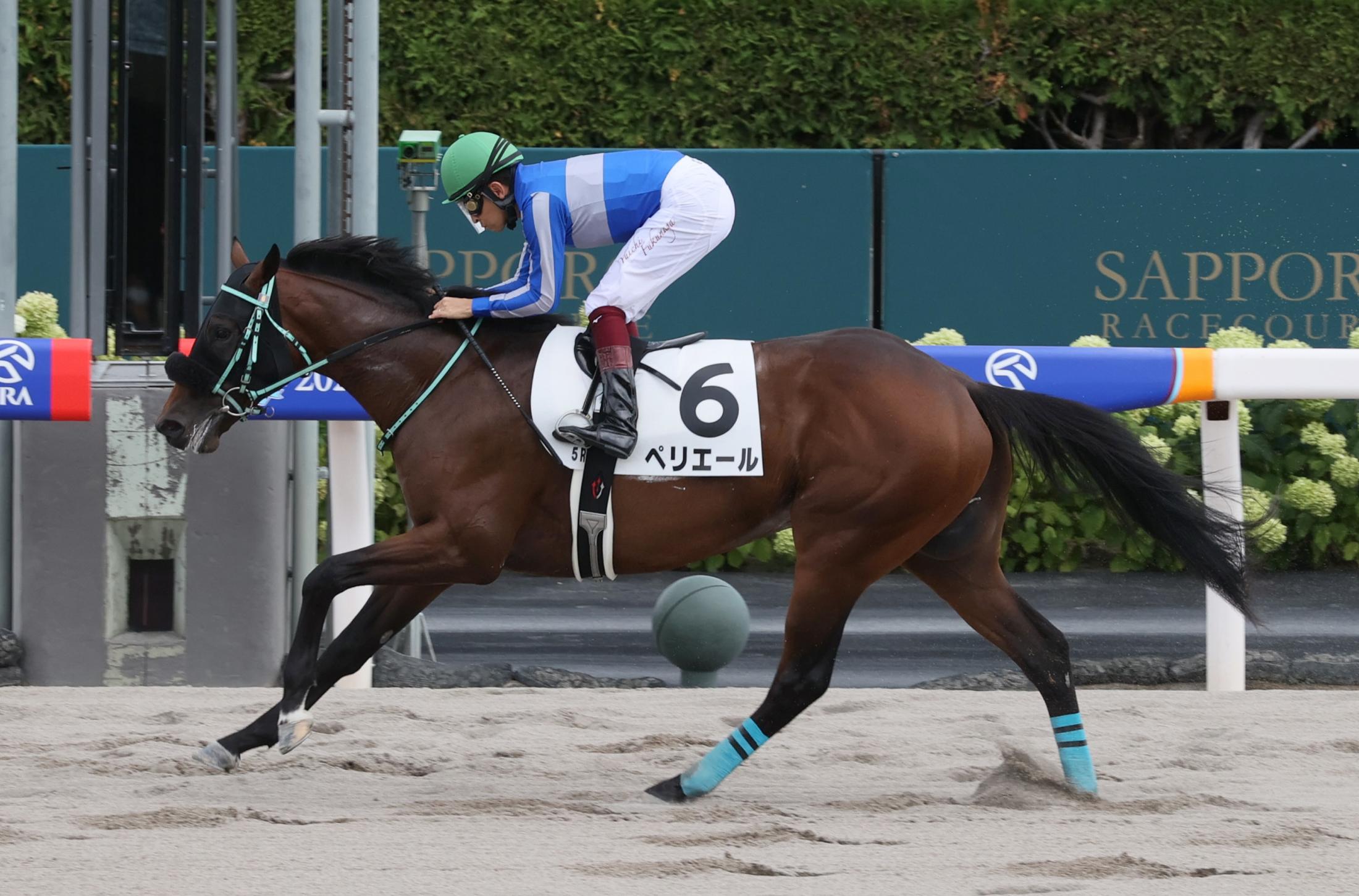 ｐｏｇ ペリエール 横綱競馬で押し切る 福永も高評価 楽しみな素材です 競馬ニュース Netkeiba Com