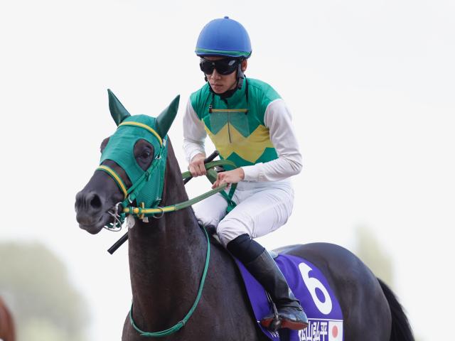 【オールスターJ第3戦】(札幌) メンアットワークが断然人気に応えて3連勝