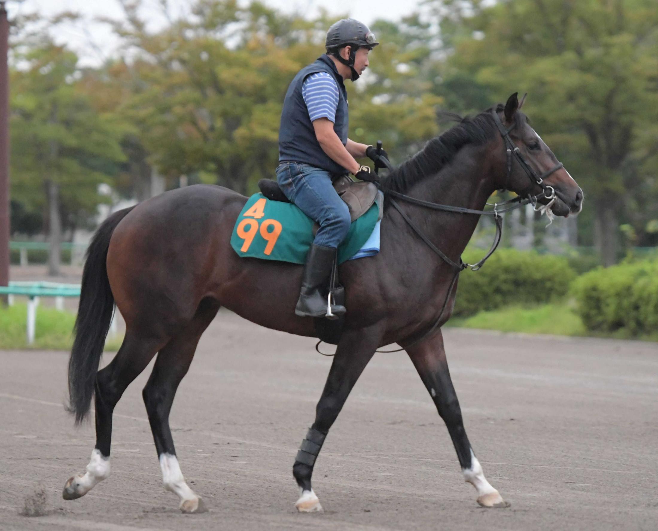 【ＰＯＧ】シャーンゴッセ　蛯名正師の思い入れ深いイスラボニータ産駒「楽しみ」