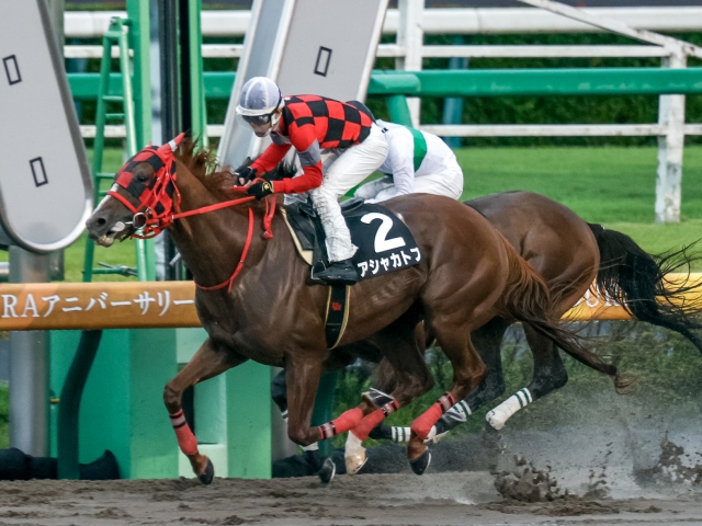 ラジオ日本賞結果 アシャカトブが人気のウィリアムバローズをゴール前で差し切る 競馬ニュース Netkeiba Com