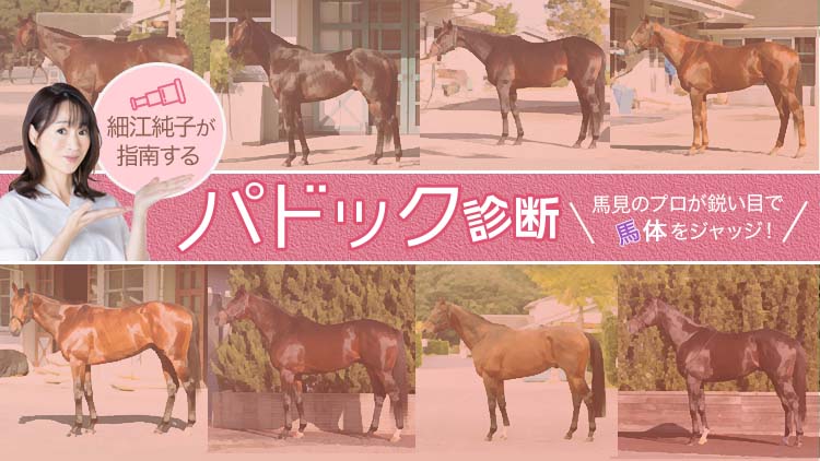【天皇賞(秋)予想】細江純子さんが出走予定10頭の馬体を診断！