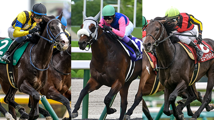 ŷľ()ɡۺǯν14ƬŰ⡪