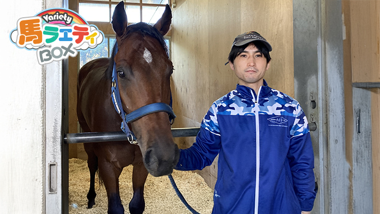 ܥޥͥ।ϡ֤ߤʤǤϿʤץǥӥ塼 ̾ϤǴȤϡ