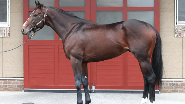 AR¹ͽۡۥƥ󥬡饹ۤͭϤΤå