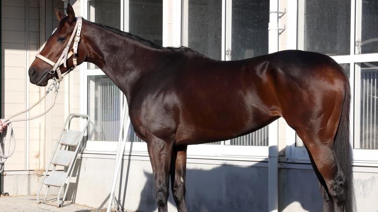 ڤߤ䤳Sͽۡۥ֥ϡȥܥɤۤͭϤΤå