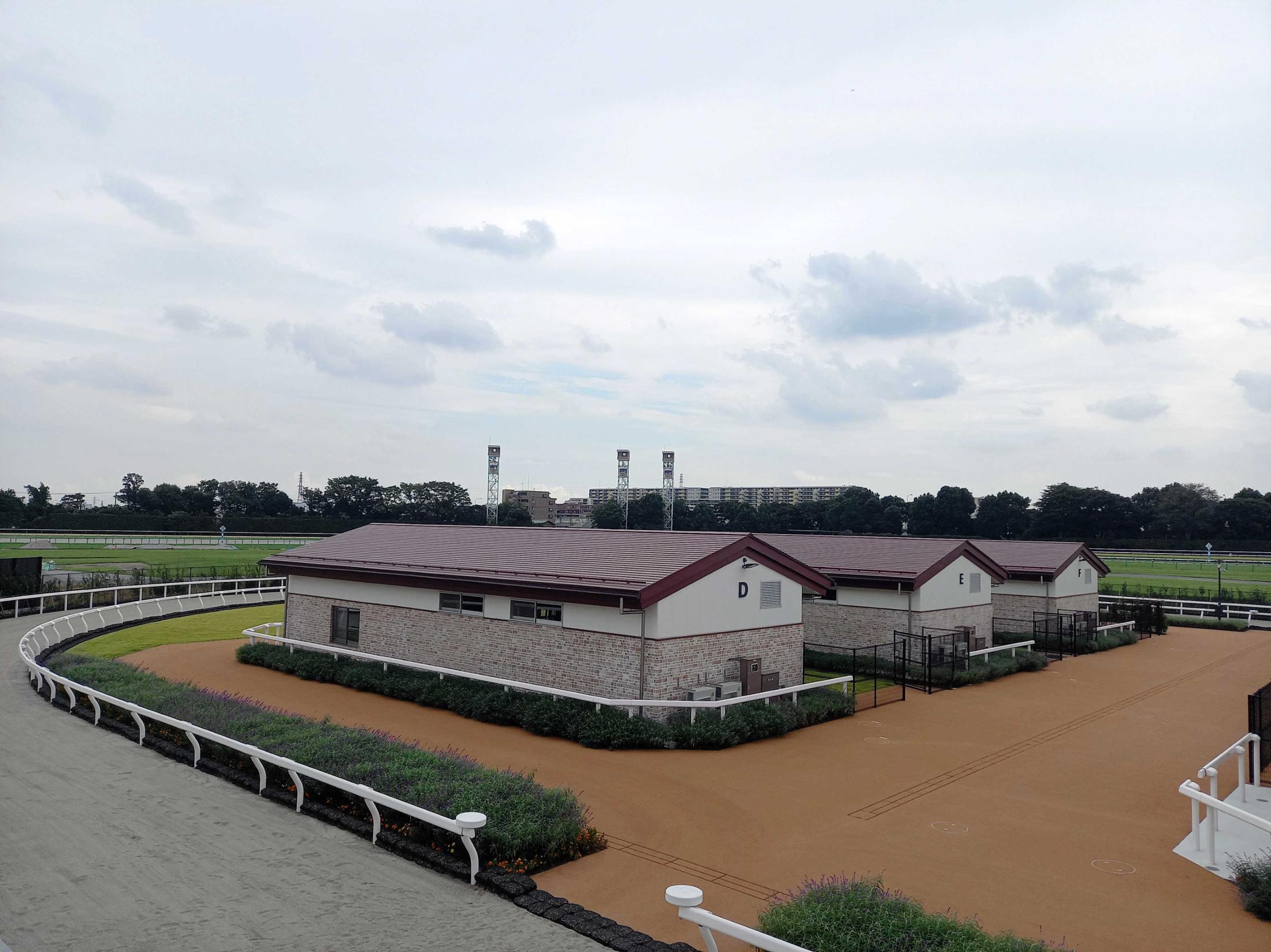 東京競馬場の国際厩舎内覧会 海外馬の参戦をアピールへ 競馬ニュース netkeiba