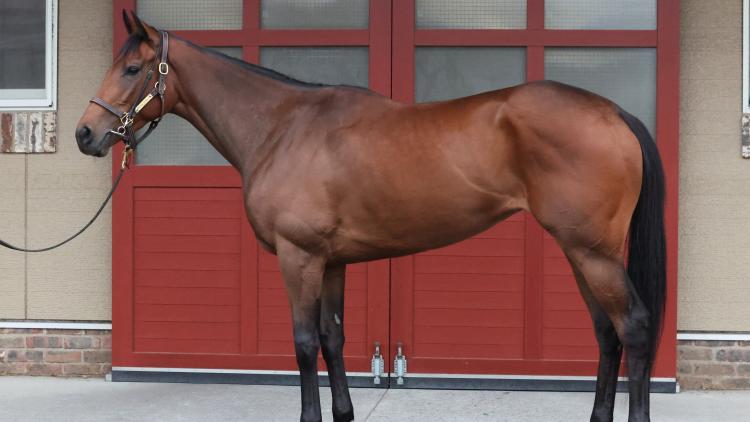 ڥꥶ٥ͽۡۥ쥬쥤ۤͭϤΤå