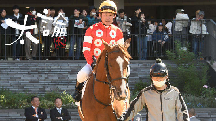 ֵסˡȥեȥɤڤǤޤרե˾1ǯ10֤ƥӤ˾