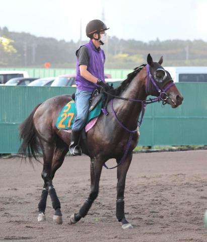 Pog 芙蓉sを制したシーウィザードはホープフルsへ 競馬ニュース Netkeiba Com