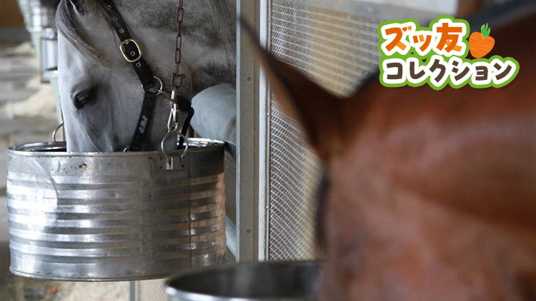 #㥹ۥɥåסߥ㥹ĹƤ饤ХǤ⤢ꡢͣͧã