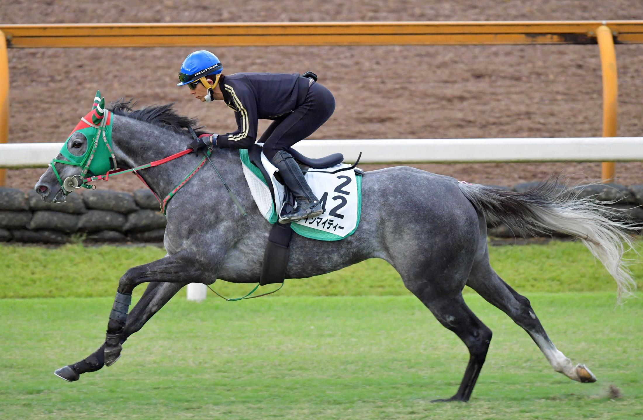 京都大賞典 ウインマイティー好気配 和田竜 走りも洗練されている 競馬ニュース Netkeiba Com