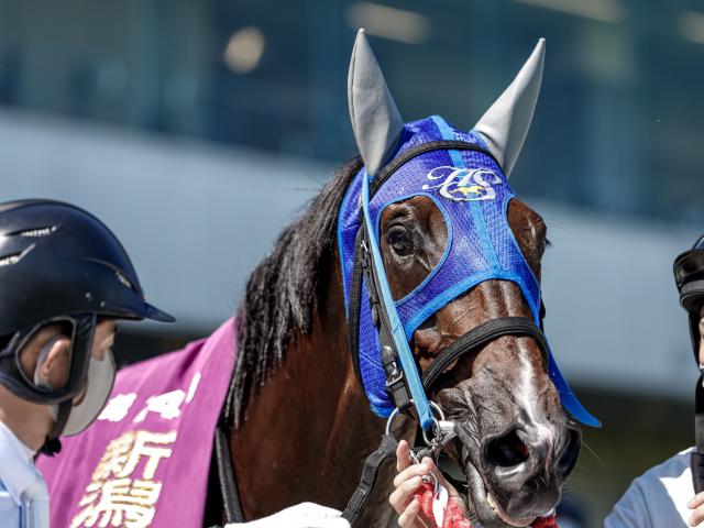 有力馬動向 来週の東京ハイジャンプ J Gii に清水久厩舎は強力な2頭出し 馬三郎のつぶやき 競馬ニュース Netkeiba Com