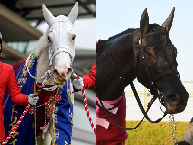 【府中牝馬s想定】gi3勝馬ソダシ、昨年のエリザベス女王杯覇者アカイイト、名牝を祖母に持つ良血姉妹など16頭 競馬ニュース