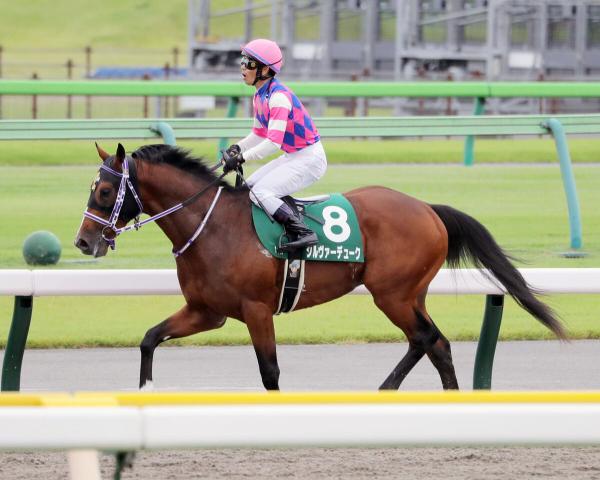 【サウジアラビアRC】3番人気のシルヴァーデュークは3着　戸崎圭太騎手「もう少し力をつけてくれれば」