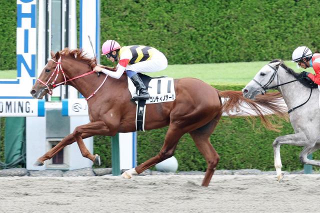 パワフル好素材コンティノアール 坂井瑠星騎手 しっかり反応 いい内容で勝つことができました 2歳新馬評価 競馬ニュース Netkeiba Com