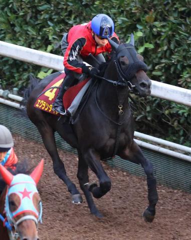 池添騎手を背に坂路で追い切るエグランタイン（撮影・亀井直樹）