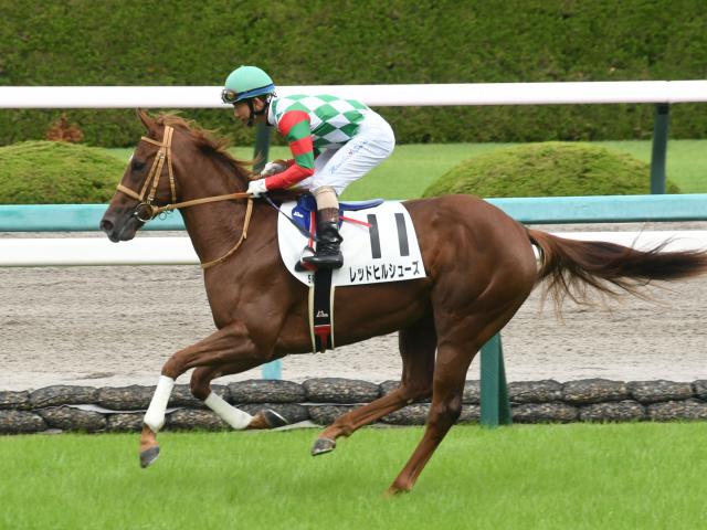 【POG情報】新馬戦快勝レッドヒルシューズはファンタジーSへ/馬三郎のつぶやき