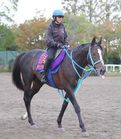 【東京ハイジャンプ】絶対王者オジュウチョウサンは6枠8番から発走