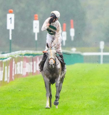 凱旋門賞馬アルピニスタ レーティング123ポンドで11位タイに浮上 競馬ニュース Netkeiba Com