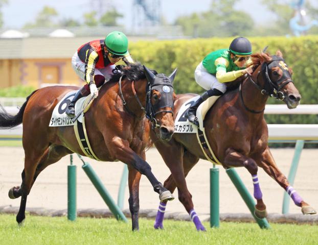 【池添謙一のKen　to　1】秋華賞へここで勢いを　土曜は阪神で5鞍