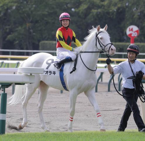 今村聖奈騎手直筆サイン色紙 プラビオで初勝利した日付けみたい 【悲報】名古屋競馬場で2日連続で地方の洗礼を浴びる 4歳以上1勝クラス - 競馬