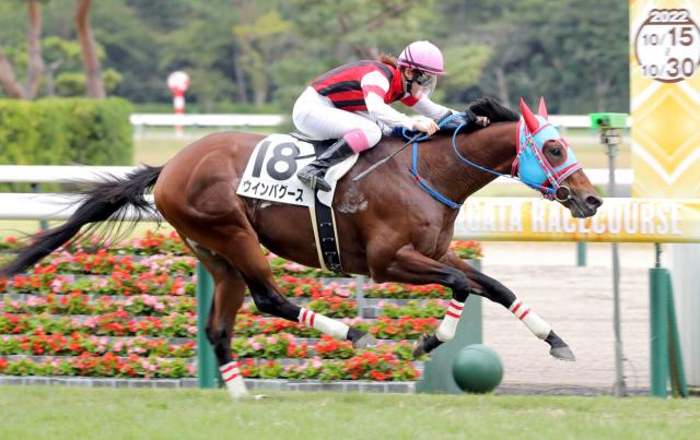 永島まなみ騎手が自身3度目の一日2勝「追い出しをギリギリまで我慢しました」