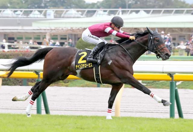 【アイビーS】チャンスザローゼスがオーナー観戦で2連勝　藤田晋氏「期待が大きかった馬です」