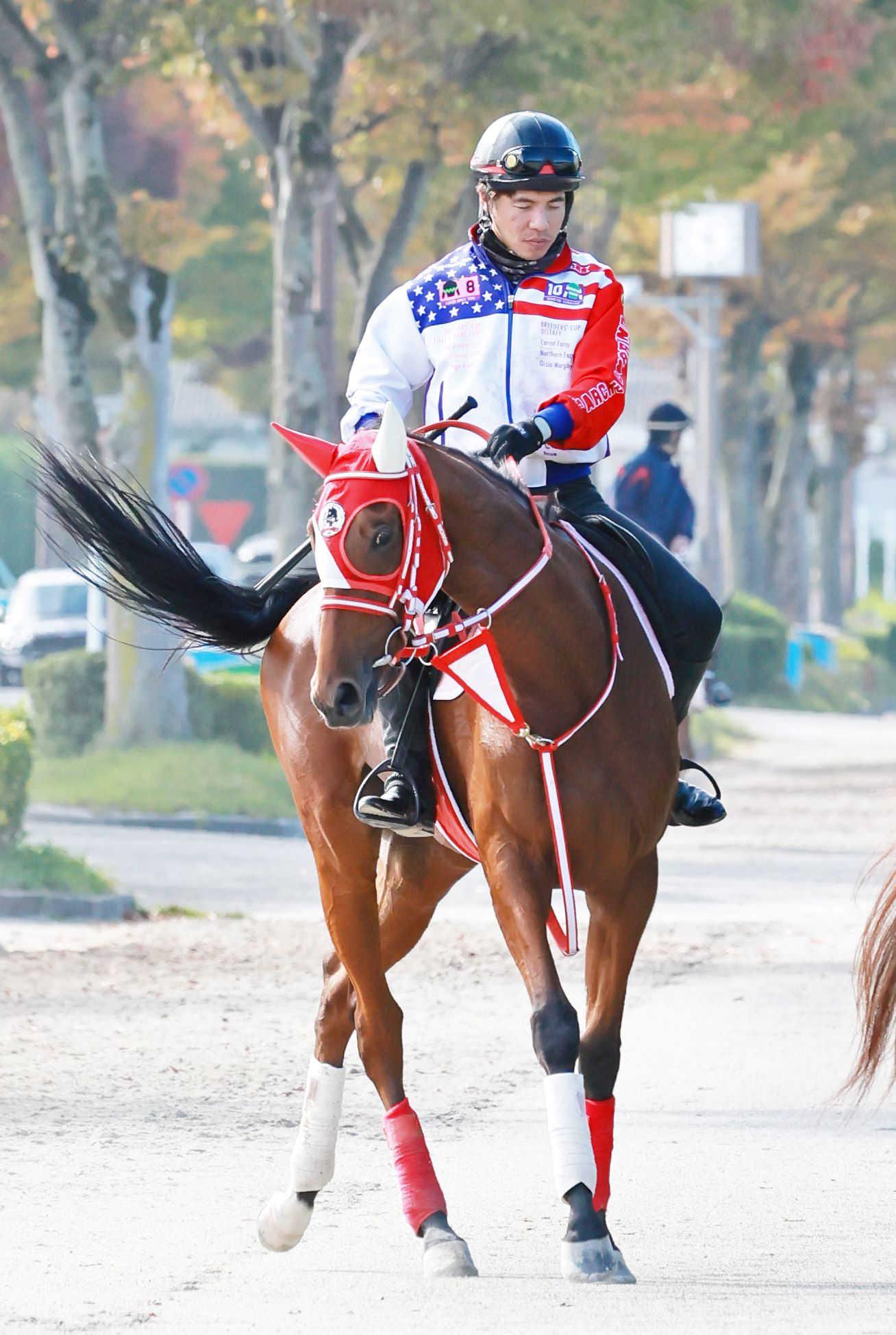 アルテミスｓ ラヴェル 天性の才能で連勝狙う 陣営 しなやかで弾む走り 競馬ニュース Netkeiba Com