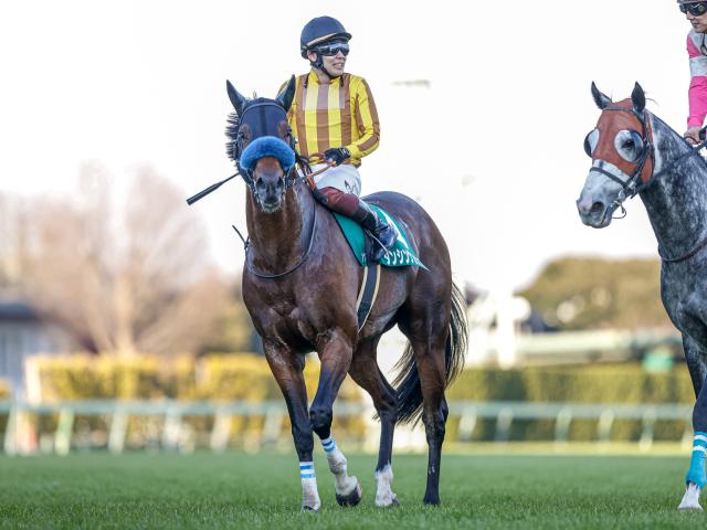 有力馬動向 ダンシングプリンスは万全の態勢で ラストの伸びも確かで順調 馬三郎のつぶやき 競馬ニュース Netkeiba Com