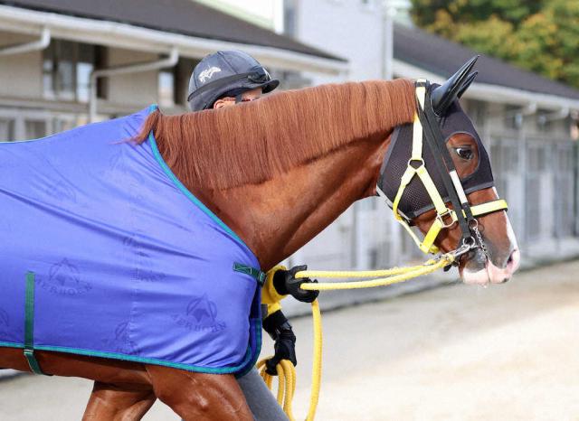 【天皇賞・秋】(9)ジャックドール　適度な気合乗り、藤岡師「いい形に仕上がった」