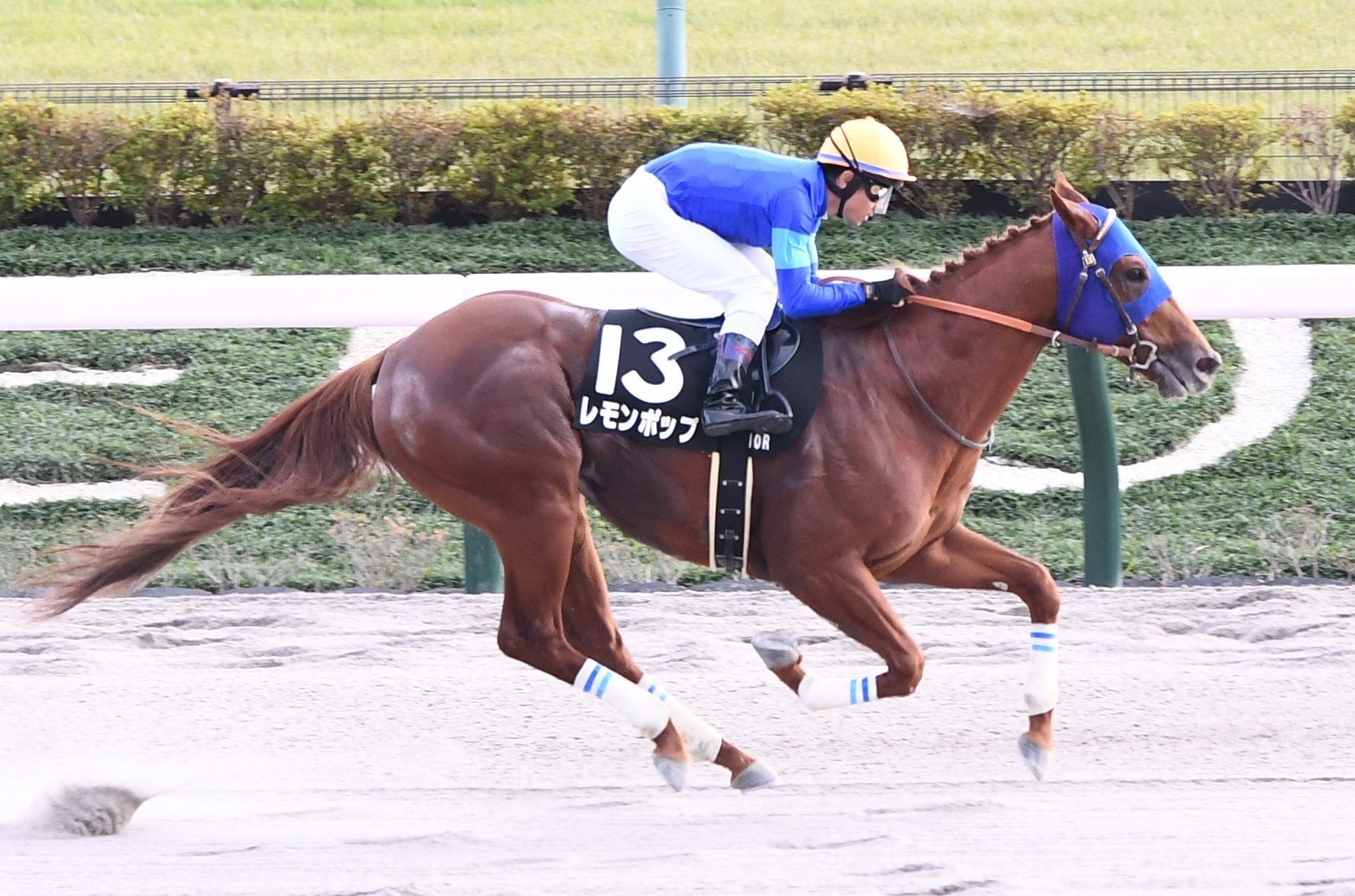 　ペルセウスＳを制したレモンポップ（撮影・園田高夫）