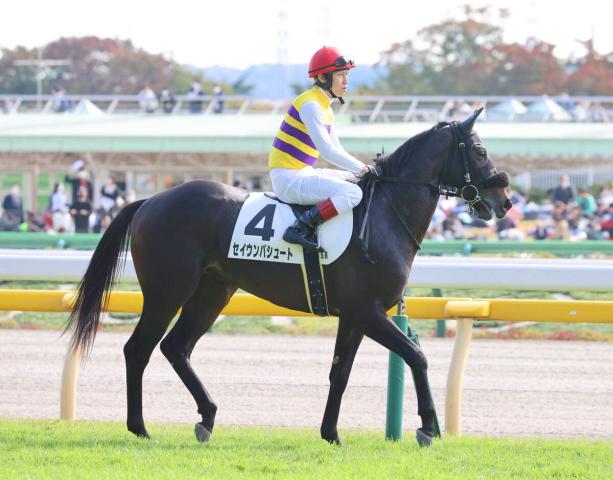 【次回注目馬】デビュー戦3着のセイウンパシュートは伯母に3冠牝馬アパパネ　田辺裕信騎手「センスが良かった」