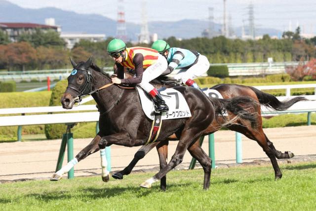 阪神新馬戦 ダークブロンド 余裕のv 素材の良さ見せた 競馬ニュース Netkeiba Com