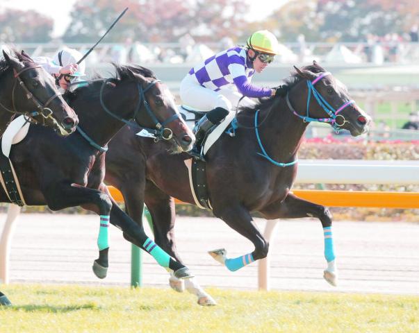 【東京6R・2歳新馬】単勝161・1倍の15番人気ブルーイングリーンV　山田敬士騎手「攻め馬からいい動き」