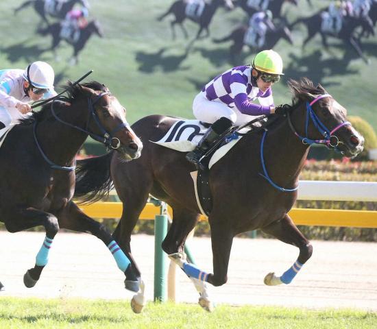 【東京新馬戦】15番人気ブルーイングリーン　直線最内差し切りV!山田「そこそこ走るとは思ってた」