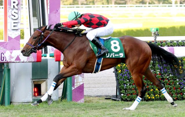 【POG】ファンタジーSを制したリバーラは阪神JFに決定 競馬ニュース netkeiba
