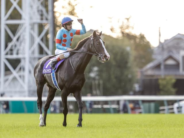 ワールドベストレースホースランキング、フライトラインは前回と変わらずレーティング139
