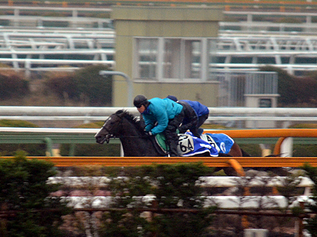 オーシャンブルーなど今週の主要調教馬場の時計/栗東トレセンニュース