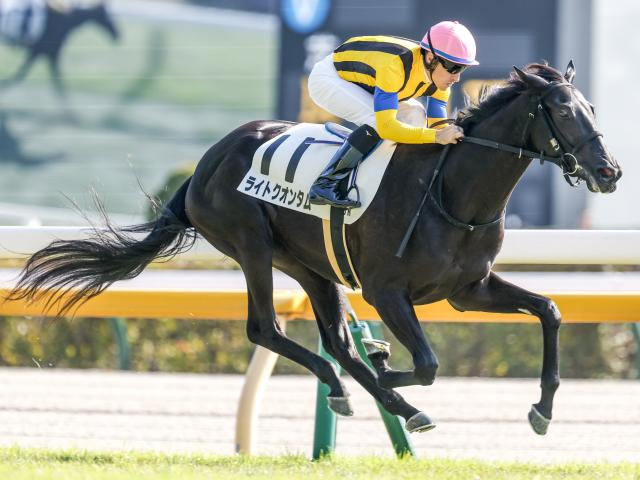 ☆ディープインパクト号☆若駒ステークス現地的中単勝馬券プラスおまけ